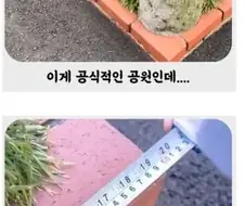 세상에서 가장 작은 공원.jpg