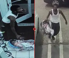 배글에 차량 절도범이 저런게 이해 되는게