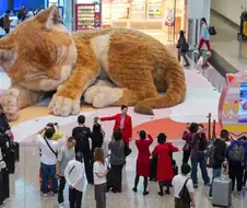 홍콩 공항에 있다는 것