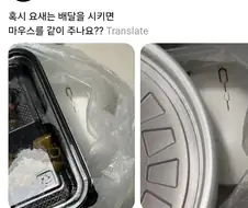 배달음식에 살아있는 ＇쥐＇ 포장... 네티즌 경악