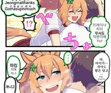 [말딸] 대형견 타이키 셔틀