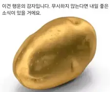 내 선물이야