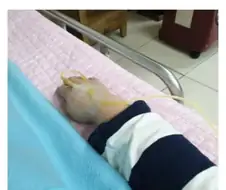 17세 남고생 제갈공명