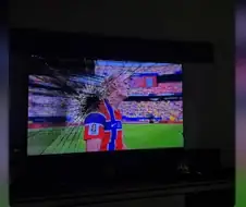 TV 박살낸 브라질 사람에게 답글 단 홀란드