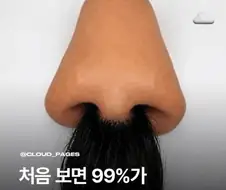 처음 보면 99%가 코라고 착각하는 사진