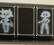 트릭컬)볼따구 세계의 X레이 사진