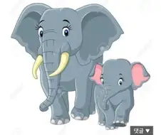 Bo지에서 코끼리가 나오는 년