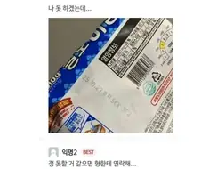 팔도에서 내려온 지령