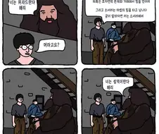 해리포터는 위자드가 아님.jpg
