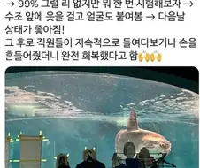 손님이 없어 우울증이 온 개복치.jpg