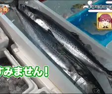 버튜버) 낚시로 못했으니 돈으로 낚겠다 !