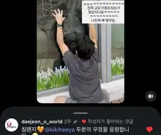 오월드 침팬지와 교감하시는 분