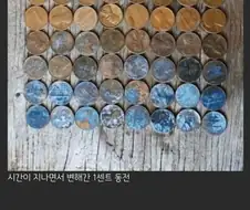 세월의 흔적들 .jpg