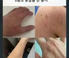 S랭크 낮잠의 증거