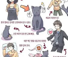 고양이가 된 여친.manhwa