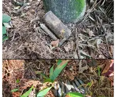 등산하다 불발탄 발견함