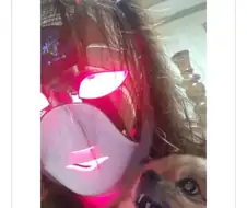 주인이 다크사이드에 잠식된 걸 본 강아지