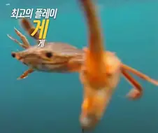 체인소맨이 자1살하기 버튼을 누른 현시점 승리자