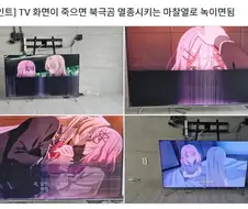 TV 화면 나갔을때 복구하는 방법