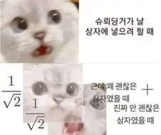 고양이:슈뢰딩거가 날 상자에 넣으려고 해!!
