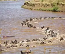 흠뻑 젖은 누님들 S라인 ㅗㅜㅑ