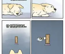 강아지가 느끼는 시간.manhwa