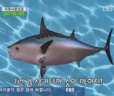 해외에 퍼진 스펀지송.mp4