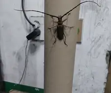 나도 야짤 달린다