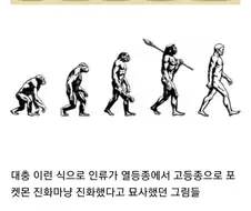 교과서에서 삭제된 진화론 그림