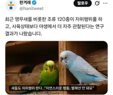 새들도 자위행위 한다…