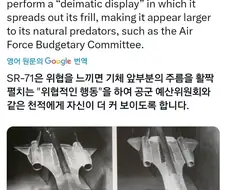 누구도 몰랐던 SR-71의 비밀 기능