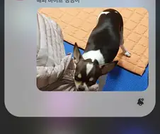 하... 갤럭시 이새끼들 사람 눈물나게하네