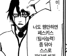 블리치 번역 뭐냐