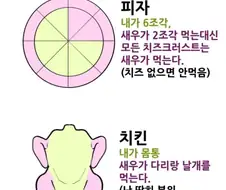 뽈쟁이가 찐사랑인 이유