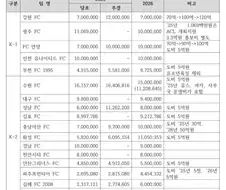 차라리 시민들 돈을 나눠줘