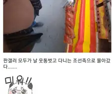음해당하는 디시인