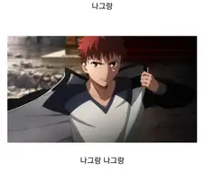 Fate)나그랑 광인