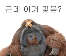 유희왕 유튜브에서 솔직히 범죄적인 영상들