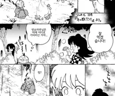 링과 셋쇼마루가 버섯을 잘못 먹은 만화.manhwa