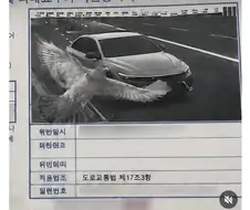 신통방통 통지서.jpg