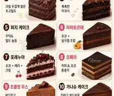 세계의 다양한 초코케이크