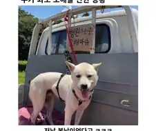 병원가서 치료받으면 장땡 아프면