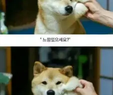 치과 마취주사의 효과