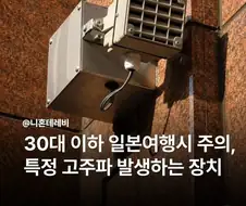 일본의 MZ디스트로이어