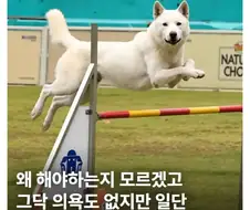 ??? : 이걸 시키는 화자의 의도를 파악하시오