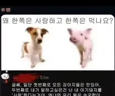 왜 한쪽은 사랑하고 한쪽은 먹나요
