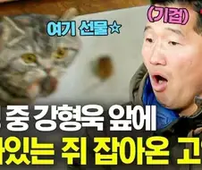 강형욱이 공식으로 인정한 감당할수 없는 개품종