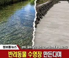 난리났던 제주도 하천 콘크리트화 진실