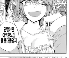 버튜버)루나이트말고 특이한 팬덤.comic