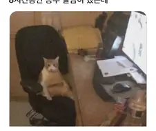 이건..오해라고 !!